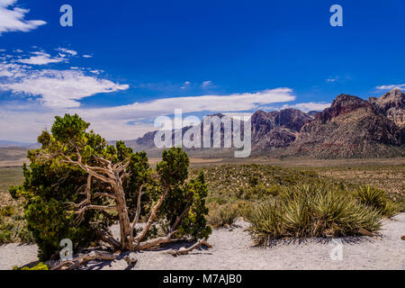 The USA, Nevada, Clark County, Las Vegas, Red rock canyon, Spring Mountains, view from the High Point Overlook Stock Photo