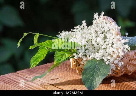 Elderflower juice, herbs Stock Photo