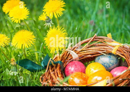 Easter nest, Easter eggs in front of dandelion Stock Photo