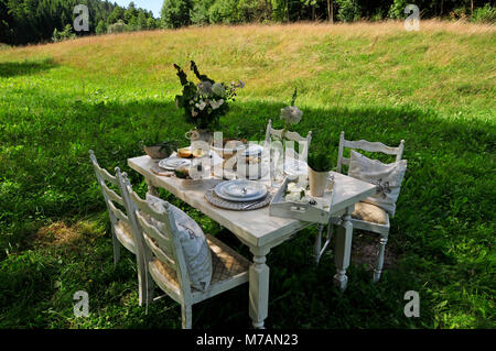 laid white dining table on a summer meadow Stock Photo