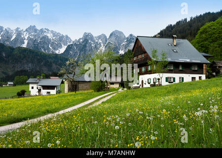 Idyllic farm in the Alps, Salzburg state, Austria Stock Photo