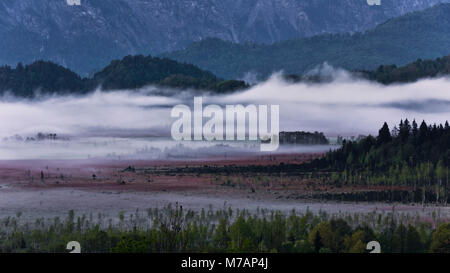 Murnau moor (Murnauer Moos), Bavaria, Germany Stock Photo