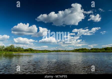 Europe, Poland, Voivodeship Masovian, Bug river near Kamienczyk Stock Photo