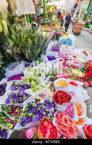 Colourful Flowers, Hong Kong Flower Market, Hong Kong, China Stock 