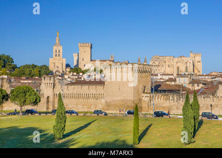 France, Provence region, Avignon city, the Popes Palace, skyline, W.H., Stock Photo