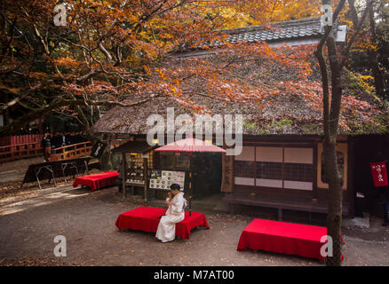 Japan, Nara City, tea Shop Stock Photo