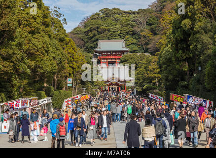 Japan  Kamakura City, Tsurugaoka Hachimangu Shrine Stock Photo