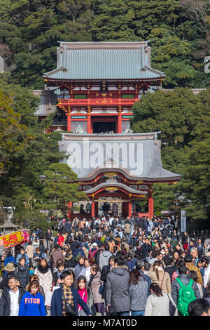 Japan  Kamakura City, Tsurugaoka Hachimangu Shrine Stock Photo