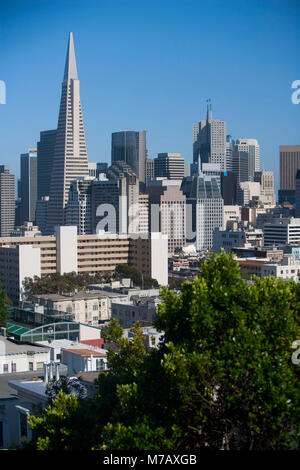 Skyscrapers in a city, Transamerica Pyramid, San Francisco, California, USA Stock Photo