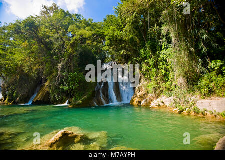 Waterfalls in a forest, Tamasopo Waterfalls, Tamasopo, San luis Potosi, Mexico Stock Photo