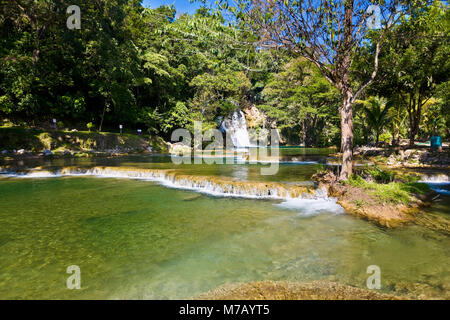 Waterfall in a forest, Tamasopo Waterfalls, Tamasopo, San luis Potosi, Mexico Stock Photo