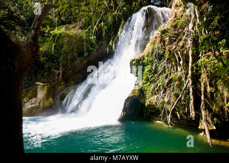 Waterfall in a forest, Tamasopo Waterfalls, Tamasopo, San luis Potosi, Mexico Stock Photo