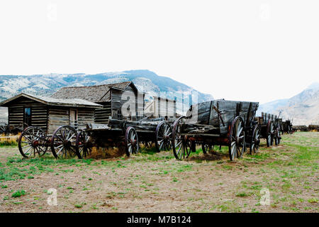 Wagons and abandoned houses in a ghost town, Old Trail Town, Cody, Wyoming, USA Stock Photo