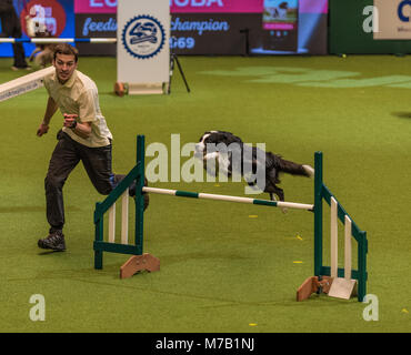 Birmingham, UK. 9th Mar, 2018. Crufts Dog Show Birmingham Uk. agility dogs competition in the main arena at this year's Crufts Dog Show at Birminghams  NEC. Credit: charlie bryan/Alamy Live News
