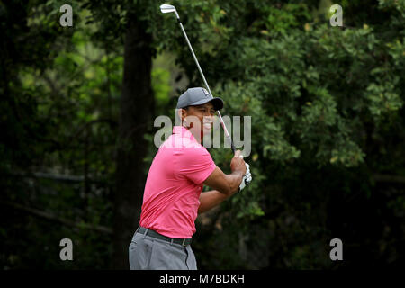 Palm Harbor, Florida, USA. 10th Mar, 2018. DOUGLAS R. CLIFFORD | Times.Tiger Woods drives from the 3rd tee while playing the Copperhead Course on Saturday (3/10/18) during the third round of the Valspar Championship at the Innisbrook Golf and Spa Resort in Palm Harbor. Credit: Douglas R. Clifford/Tampa Bay Times/ZUMA Wire/Alamy Live News Stock Photo