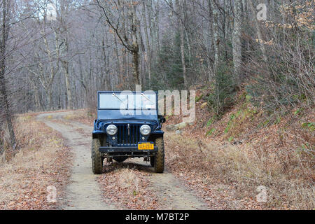 A Willys CJ-2A Jeep driving on a forest dirt road in the Adirondack Mountains, NY USA with copy space. Stock Photo