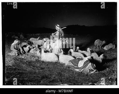 Agriculture, etc. Shepherd scenes. 'While shepherds watched their flocks.' Night scene showing Bethlehem in distance LOC matpc.02990 Stock Photo