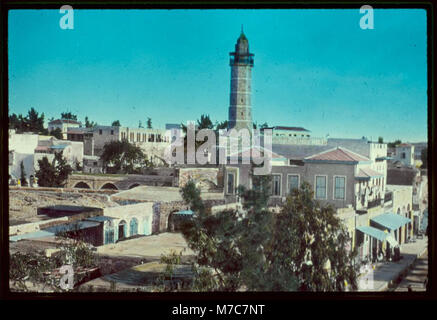 Southern Palestine, Hebron, Beersheba and Gaza area. Gaza, central section LOC matpc.22887 Stock Photo