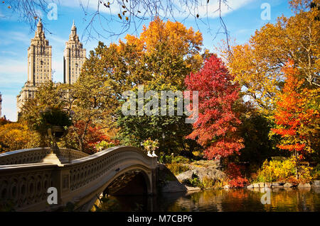 Footbridge and trees in a park, Central Park, Manhattan, New York City, New York State, USA Stock Photo