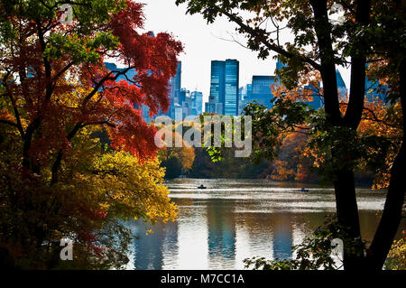 Trees in a park with skyscrapers in the background, Central Park, Manhattan, New York City, New York State, USA Stock Photo