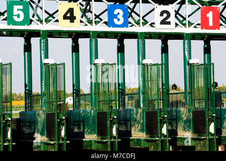Empty starting gates at the horseracing track Stock Photo