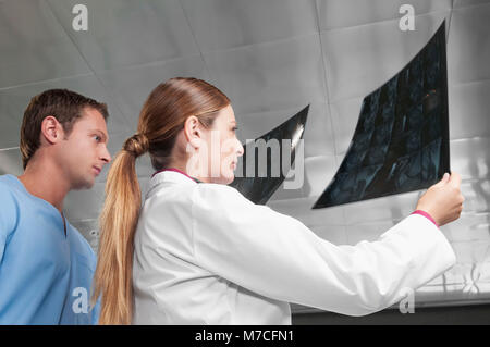 Doctors examining an X-Ray report Stock Photo