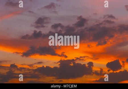 Amber colored sunset sky Stock Photo - Alamy