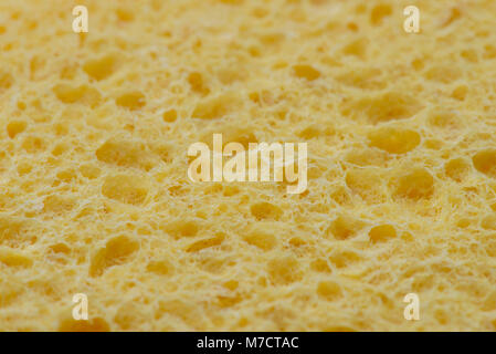 Yellow sponge detail texture background Stock Photo