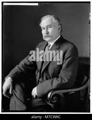 Senator Albert B. Fall Stock Photo: 216616743 - Alamy