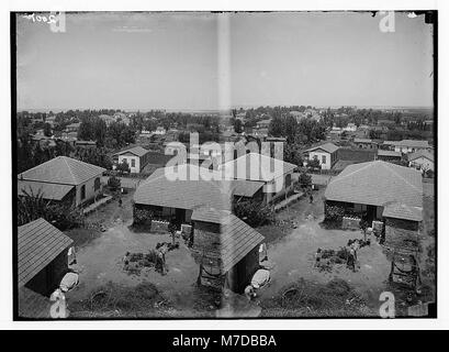 Jewish colonies and settlements. Richon le Zion LOC matpc.02324 Stock Photo