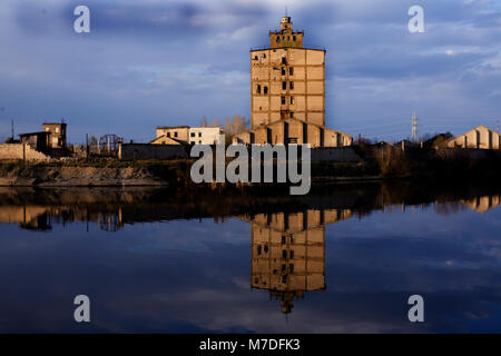 Abandoned places,plant water reflection Stock Photo