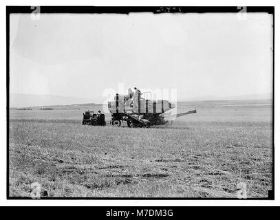 Modern harvester on Plain of Esdraelon. May 26, 1935 LOC matpc.03432 Stock Photo