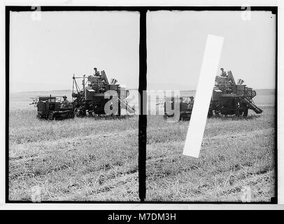 Modern harvester on Plain of Esdraelon. May 26, 1935 LOC matpc.03433 Stock Photo