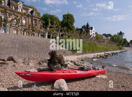 Eltville, Rheingau, Hessen, Deutschland Stock Photo