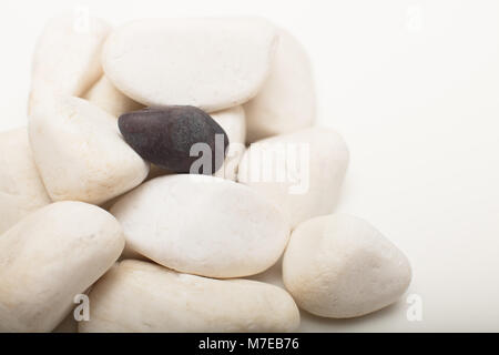 Water washed smooth white pebbles with a single black one on a white background with copy space in a conceptual image Stock Photo