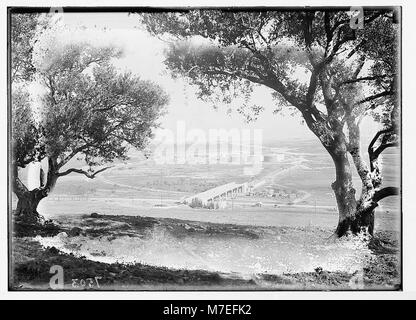This image depicts Shell oil tanks near Haifa, showing a bridge across a railroad track, taken amidst olive trees. The photograph highlights the region's industrial and agricultural intersections. Stock Photo