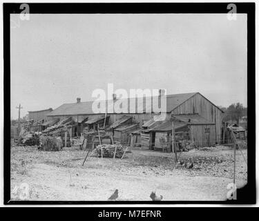 'We give them houses to live in,' About 50 persons housed in this miserable row of dilapidated shacks. Located on an old shell-pile and partly surrounded by a tidal marsh. Maggioni Canning LOC nclc.05330 Stock Photo