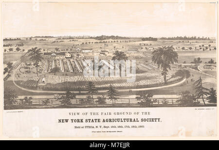 View of the fair ground of the New York State Agricultural Society, held at Utica, N.Y., Sept. 15, 18th, 1863 LCCN2003670436 Stock Photo