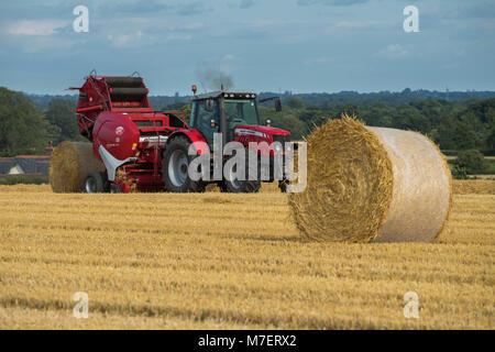 Baling straw in farm field, farmer works & drives red tractor pulling round baler (large bale just released) - Whixley, North Yorkshire, England, UK. Stock Photo