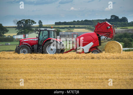 Baling straw in farm field, farmer works & drives red tractor pulling round baler (large bale just released) - Whixley, North Yorkshire, England, UK. Stock Photo