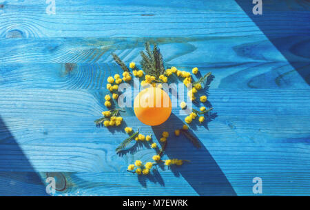 top view of yellow egg in mimosa flowers on blue  wooden background Stock Photo