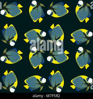 Vector seamless pattern from swim fish. Emperor angelfish. Pomacanthus imperator. Stock Vector