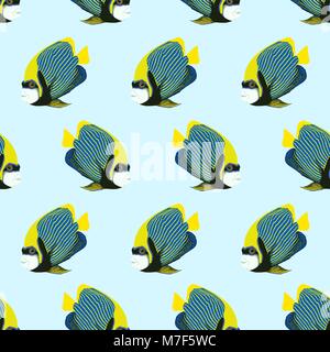 Vector seamless pattern from swim fish. Emperor angelfish. Pomacanthus imperator. Stock Vector