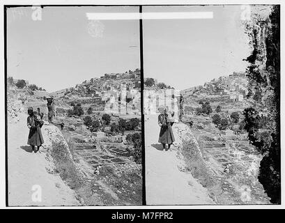 Valleys of Jehoshaphat and Hinnom. Siloam, general view. LOC matpc.00935 Stock Photo