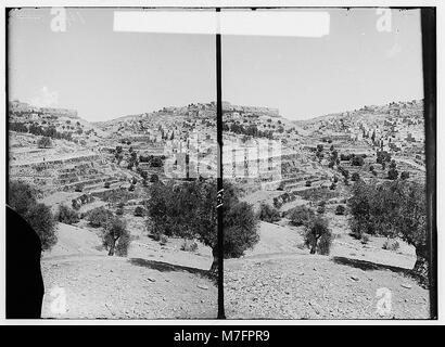 Valleys of Jehoshaphat and Hinnom. Valley of Jehoshaphat, city wall in the distance. LOC matpc.00929 Stock Photo