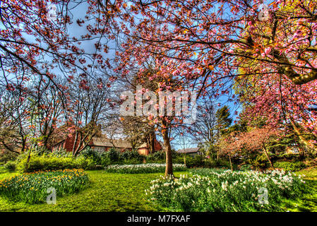 Village of Port Sunlight, England. Artistic spring view in Port Sunlight’s Dell, with the late 19th century Lyceum in the background.