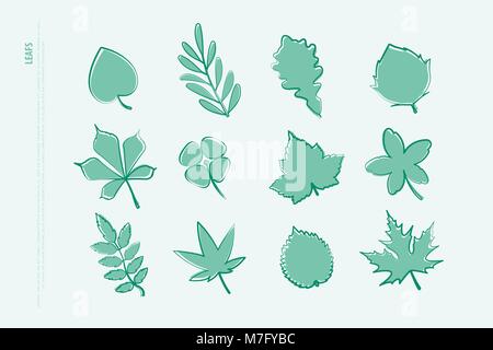 set of isolated hand drawn leaf icons. vector leaves logo collection. thin line contour, seasonal design elements. natural plant symbol Stock Vector