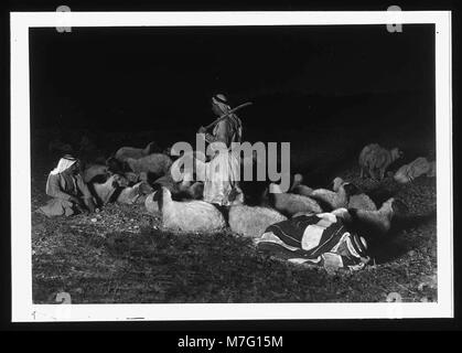 Agriculture, etc. 'While shepherds watched their flocks'. Night scene showing Bethlehem in the distance LOC matpc.14998 Stock Photo