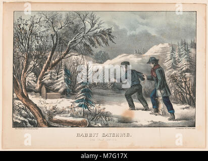 A depiction of a rabbit catching scene, where a trap is triggered. The image showcases the interaction between humans and nature in traditional hunting practices. Stock Photo