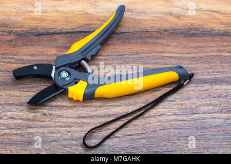 Secateurs for branches of trees and shrubs, garden tools Stock Photo